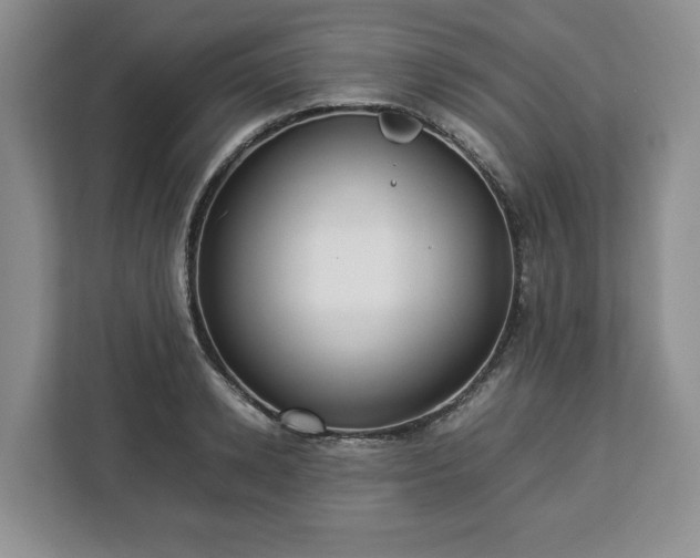 X0000112830942200908281529