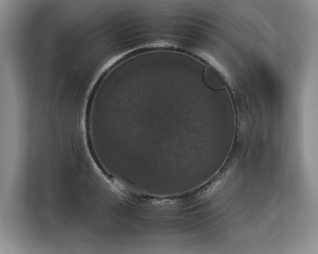 X0000112830943200908281529