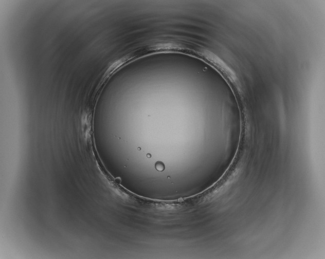 X0000112830945200908281529