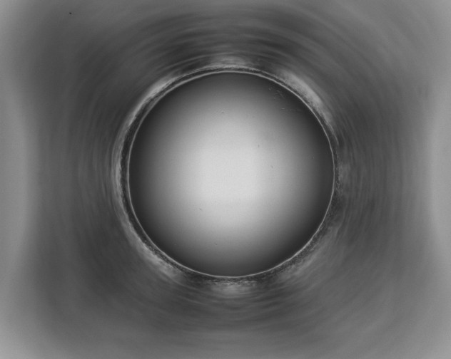 X0000112830947200908281529