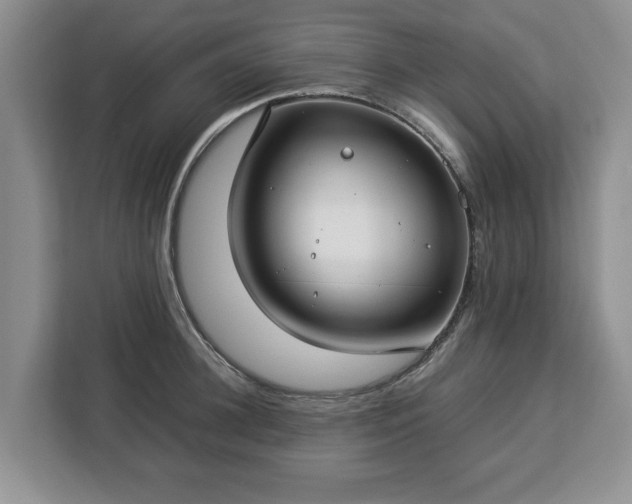 X0000112830948200908281529