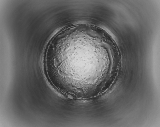 X0000112830949200908281529