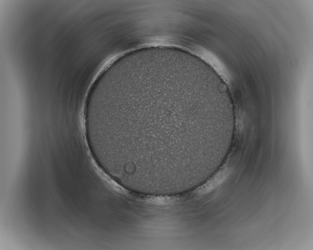 X0000112830950200908281529