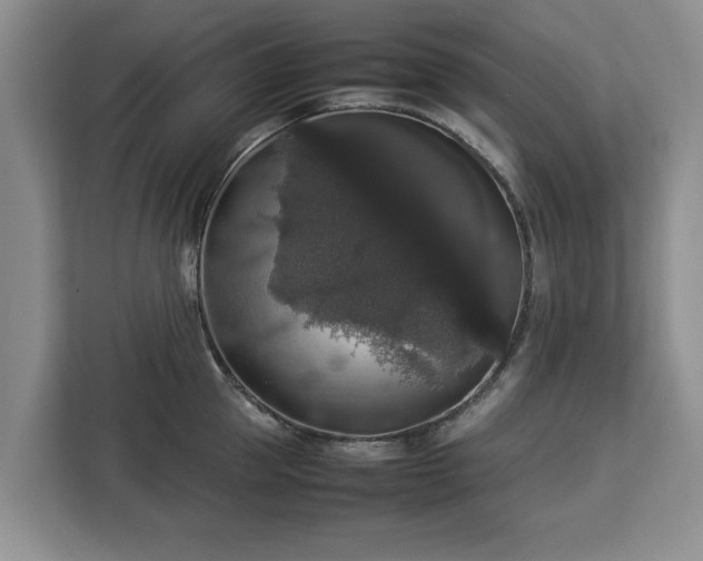 X0000112830953200908281529