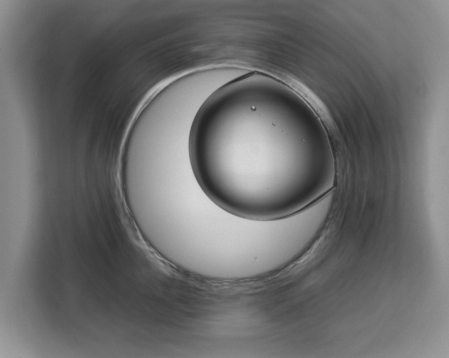 X0000112830956200908281529