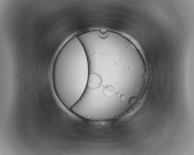 X0000112830957200908281529