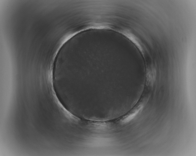 X0000112830959200908281529