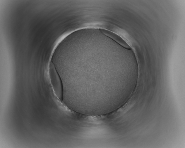 X0000112830960200908281529