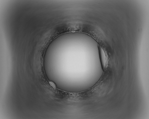 X0000112830961200908281528