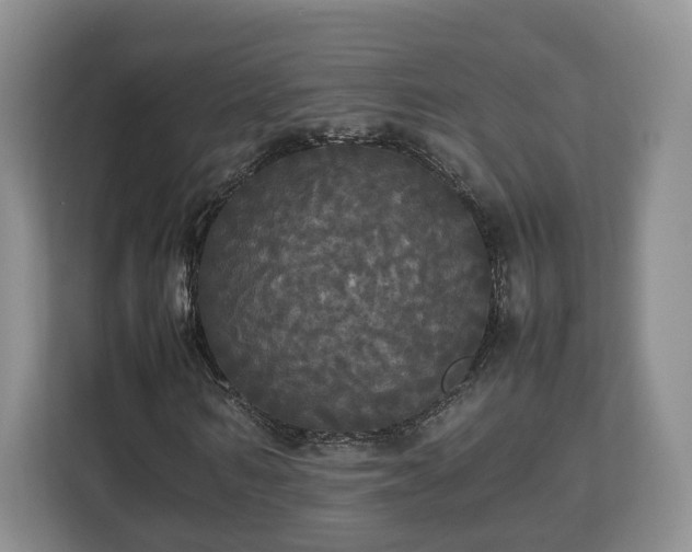 X0000112830962200908281528