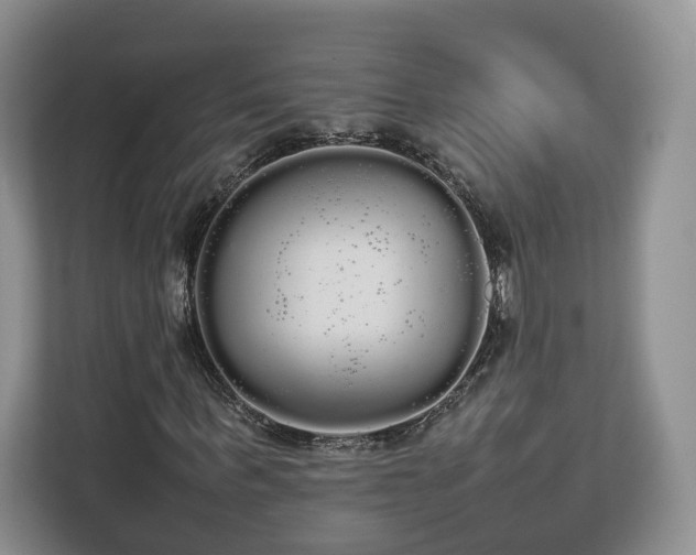 X0000112830963200908281528