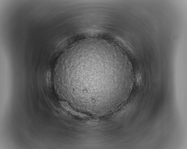 X0000112830964200908281528