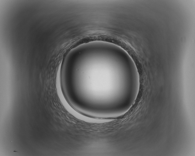 X0000112830965200908281528