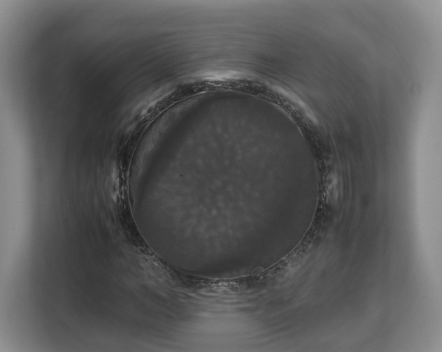 X0000112830966200908281528