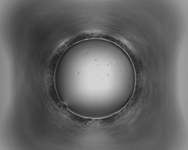 X0000112830967200908281528