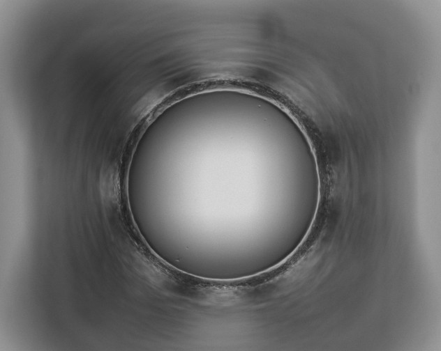 X0000112830969200908281528