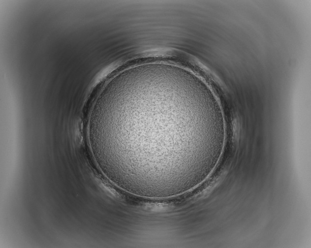 X0000112830970200908281528