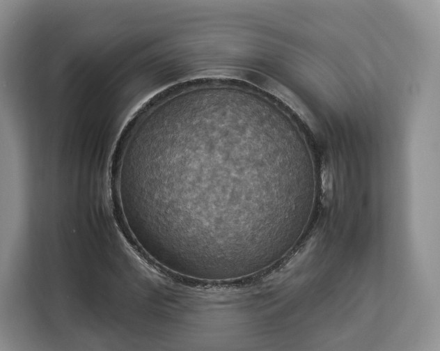 X0000112830972200908281528