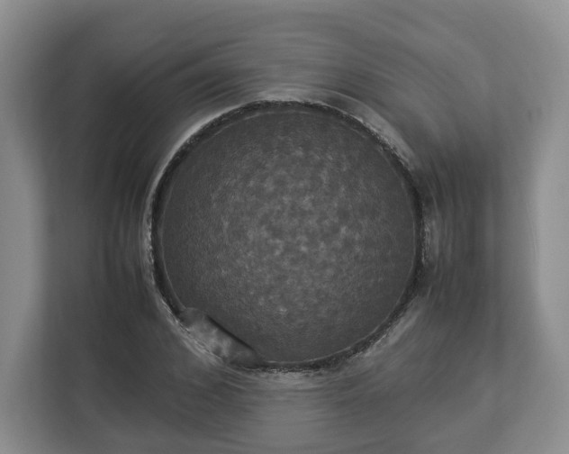 X0000112830976200908281528