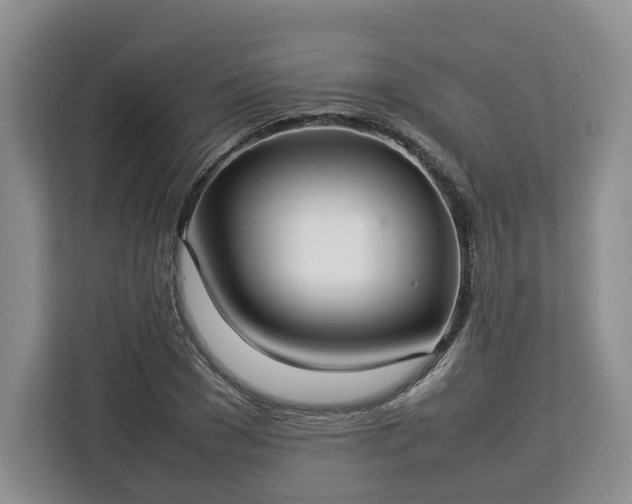 X0000112830977200908281528