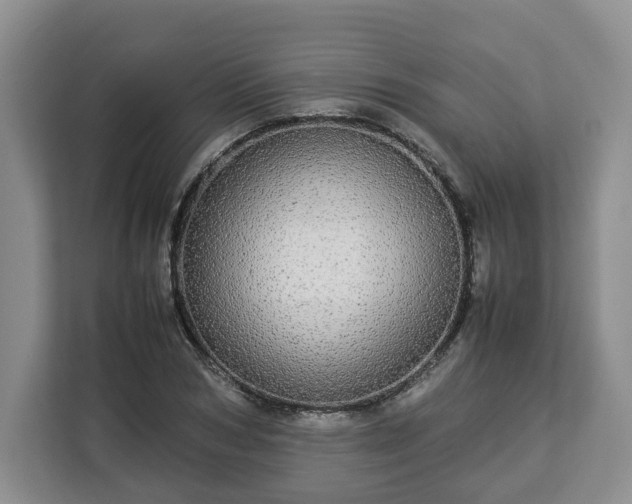 X0000112830978200908281528