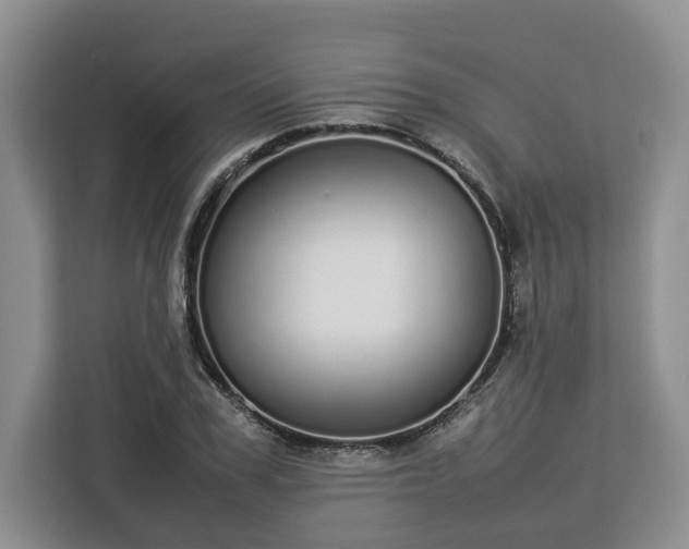 X0000112830979200908281528