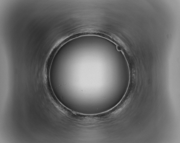 X0000112830981200908281528