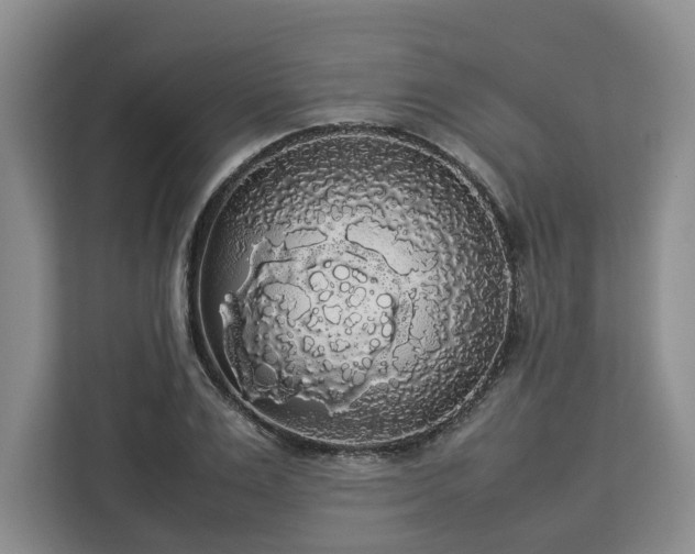 X0000112830983200908281528