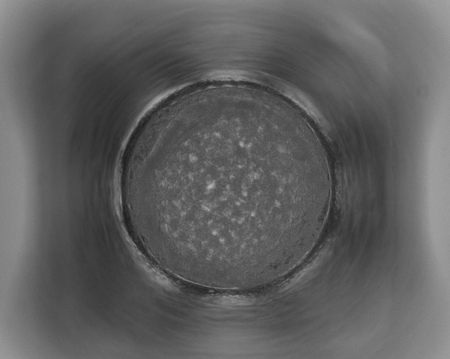 X0000112830984200908281528