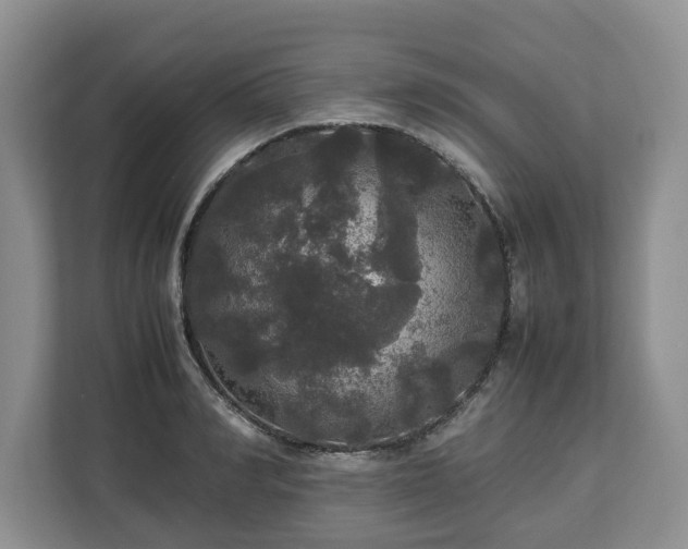 X0000112830990200908281528