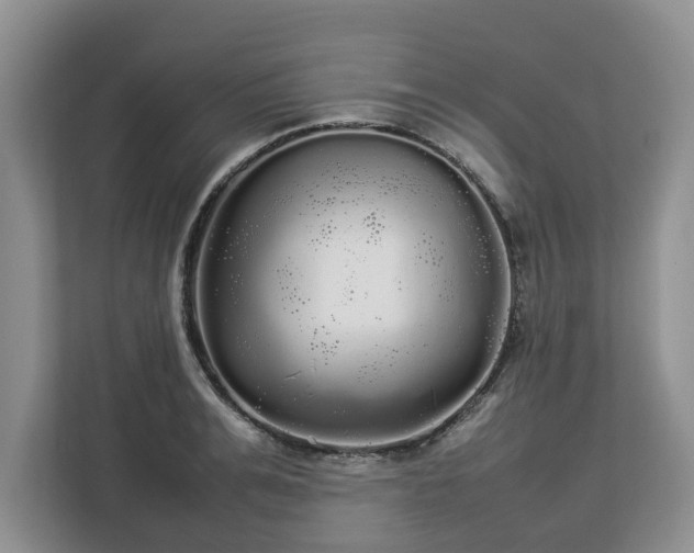 X0000112830991200908281528