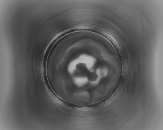 X0000112830992200908281528