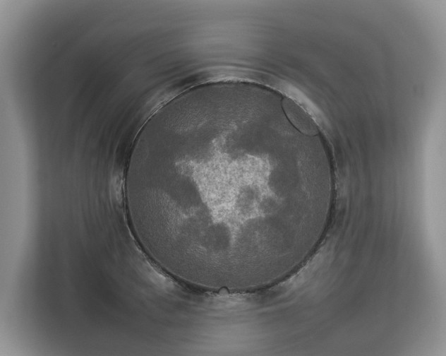 X0000112830993200908281528