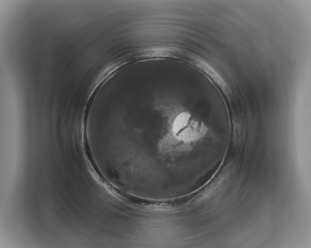 X0000112830994200908281528