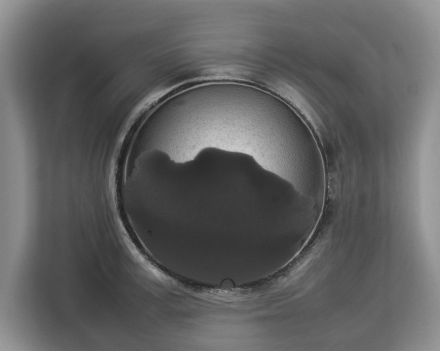 X0000112830995200908281528