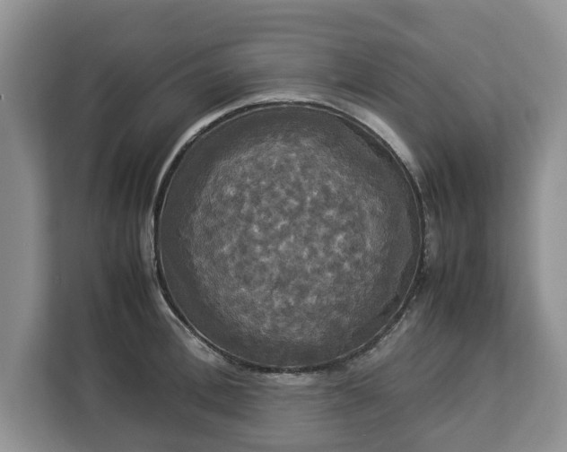 X0000112830996200908281528