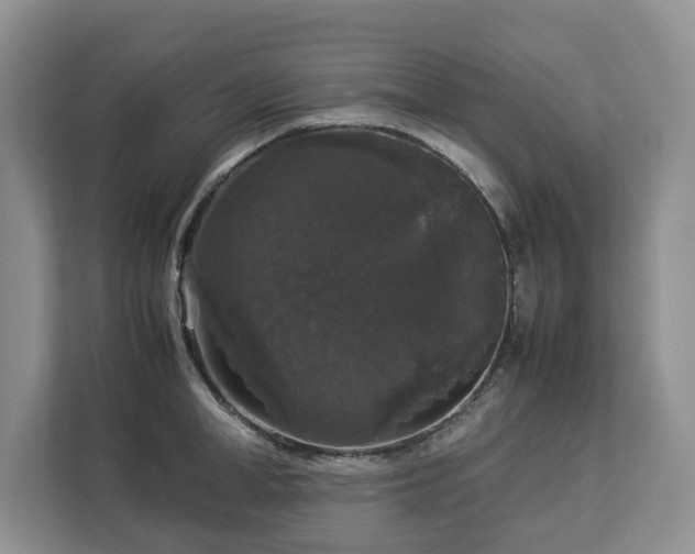 X0000112830998200908281528