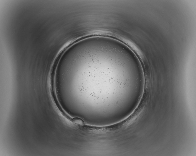 X0000112830999200908281528