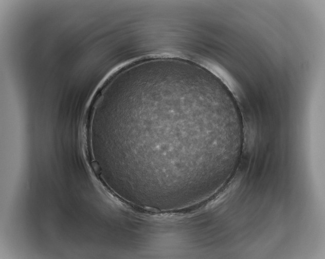 X0000112831000200908281528