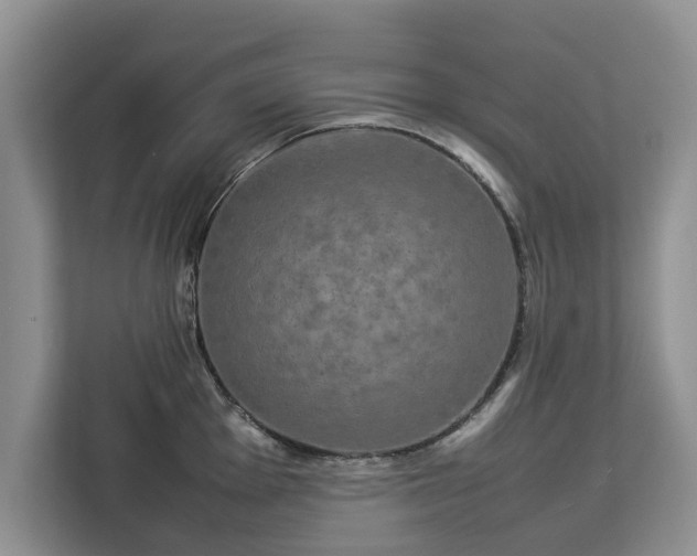 X0000112831001200908281528