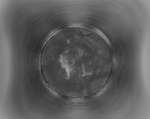 X0000112831002200908281528