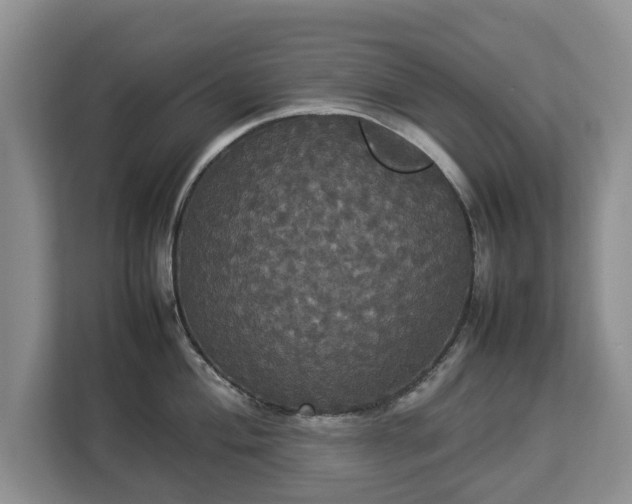 X0000112831004200908281528