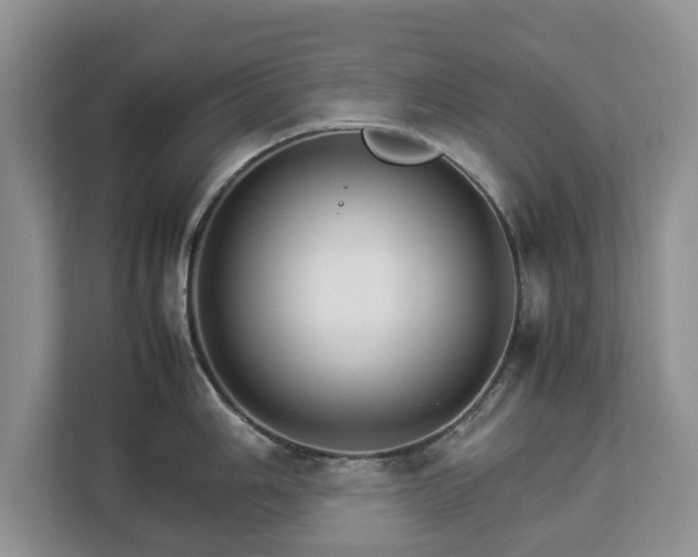 X0000112831006200908281528