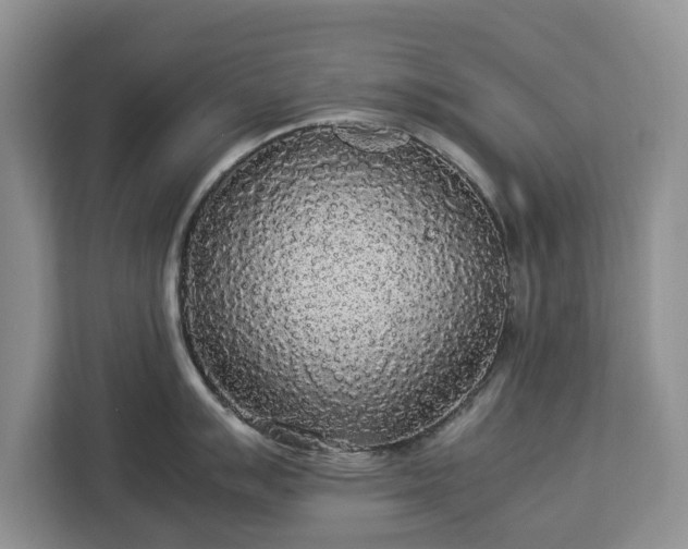 X0000112831007200908281528