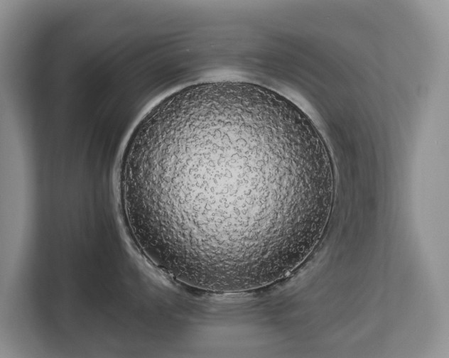 X0000112831008200908281528