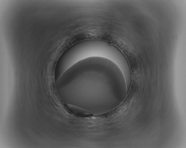 X0000112831009200908281527