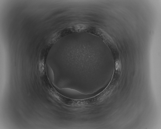 X0000112831011200908281527