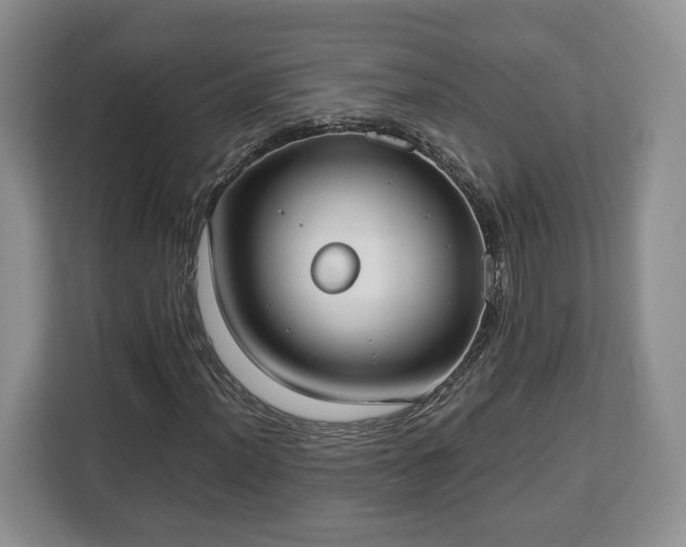 X0000112831012200908281527