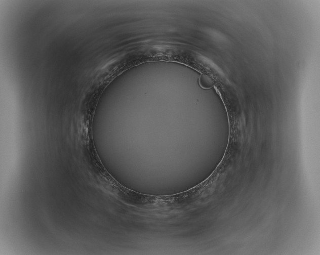 X0000112831013200908281527