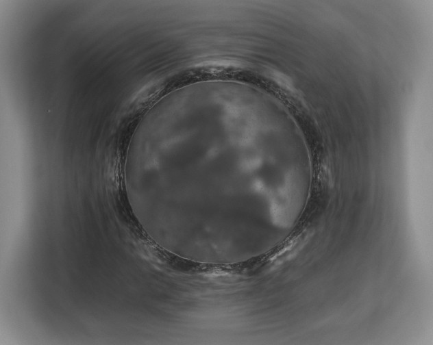 X0000112831014200908281527